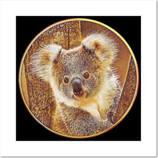 Koala safe Australia Posters and Art